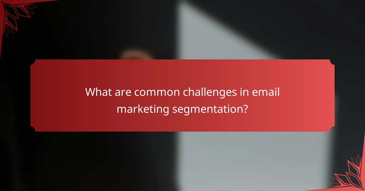 What are common challenges in email marketing segmentation?