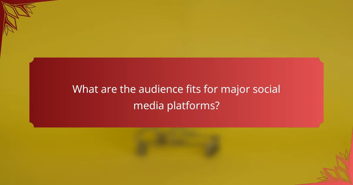 What are the audience fits for major social media platforms?